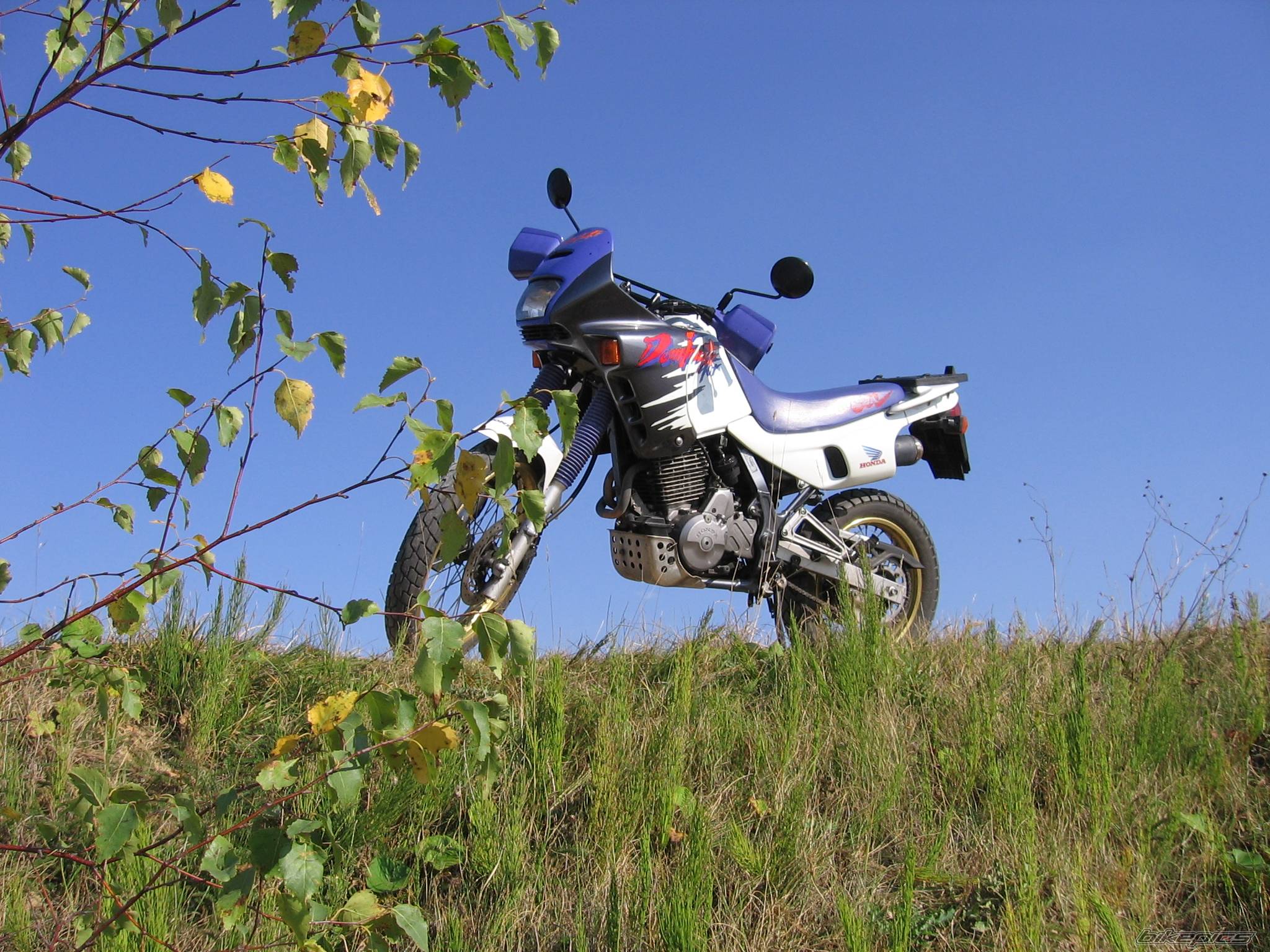 Photo 438240