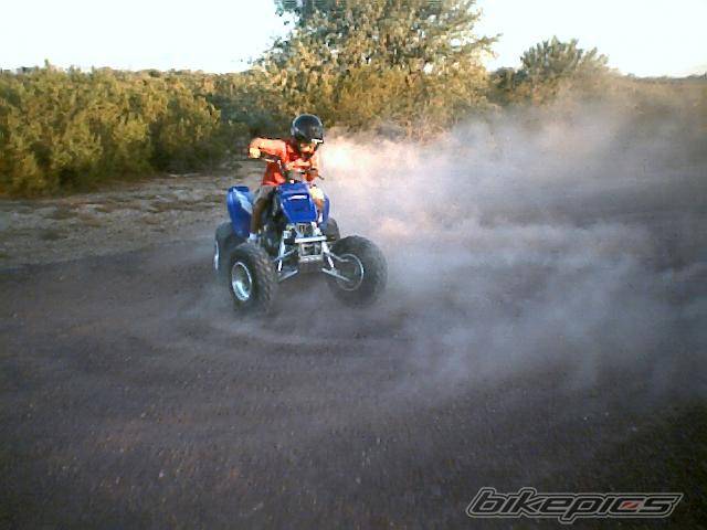 Photo 438449