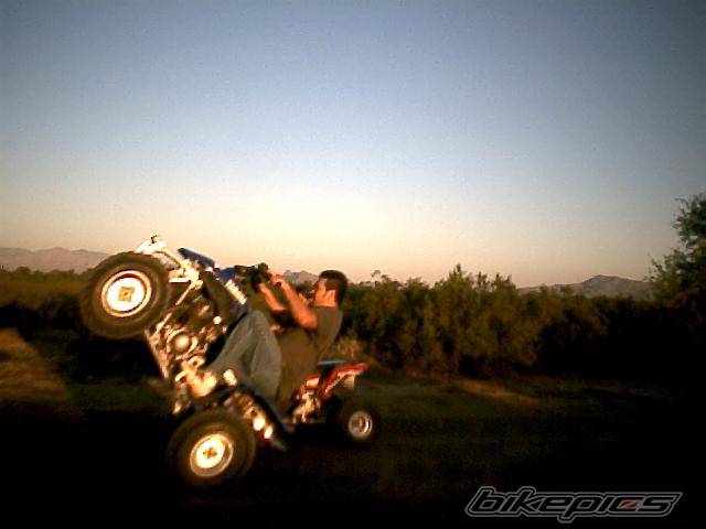 Photo 438450