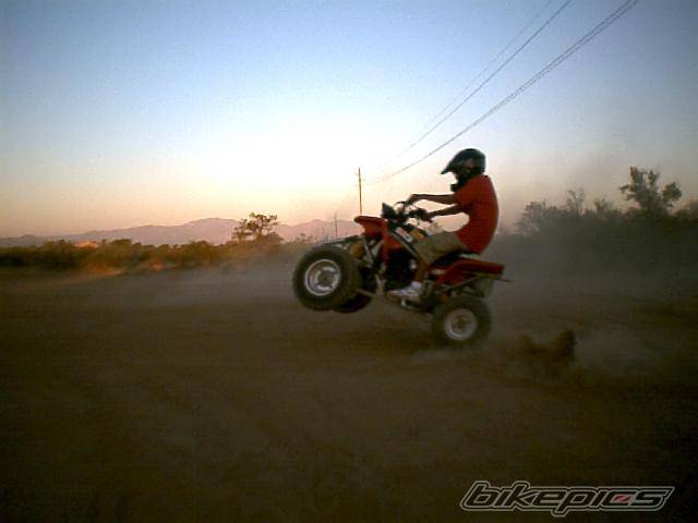 Photo 438456