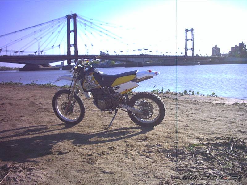 Bike Photo 438460