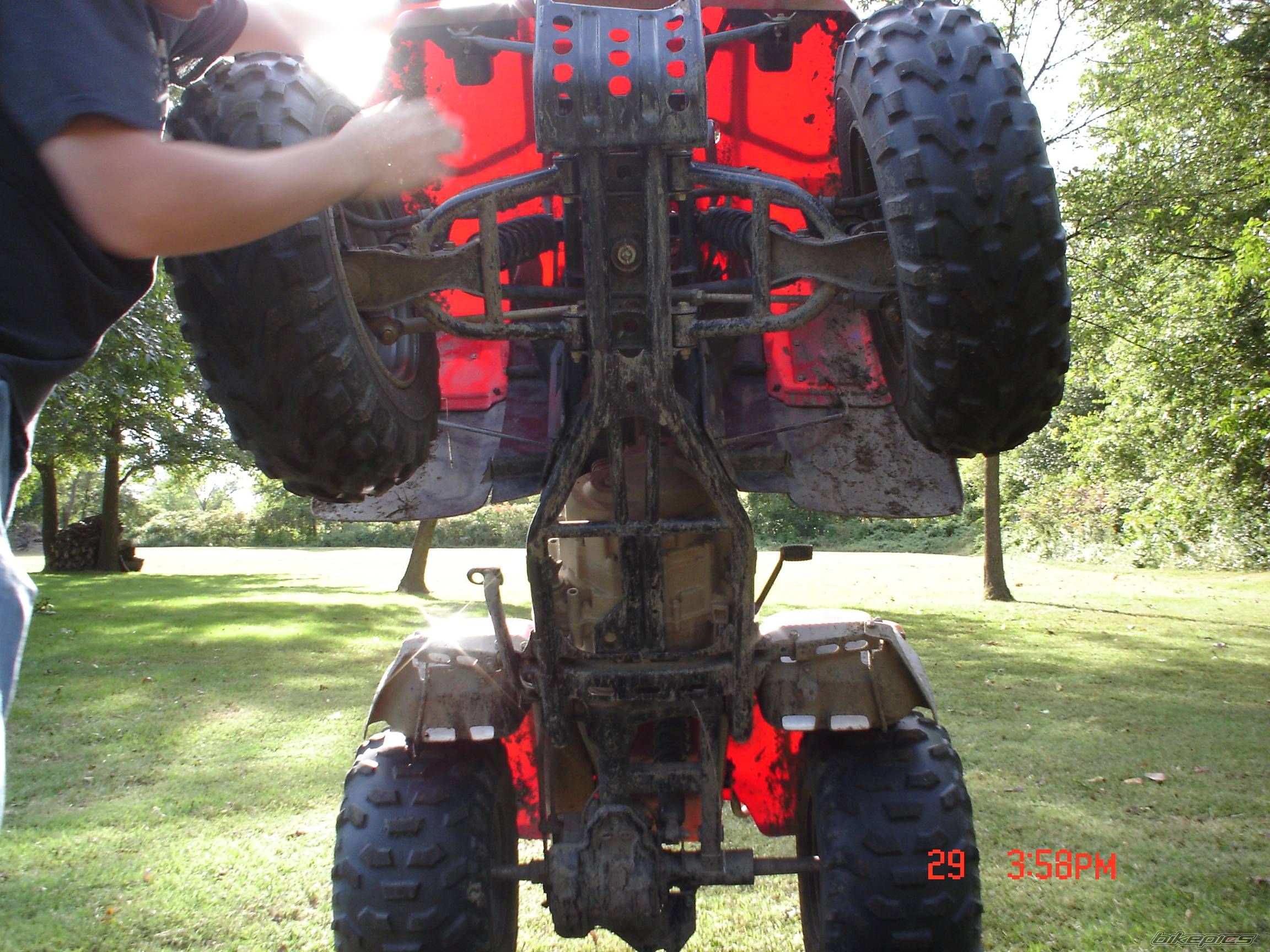 Photo 438461