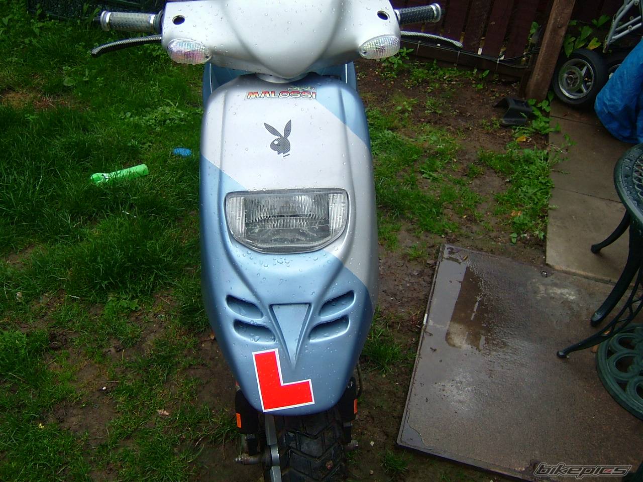 Photo 438939