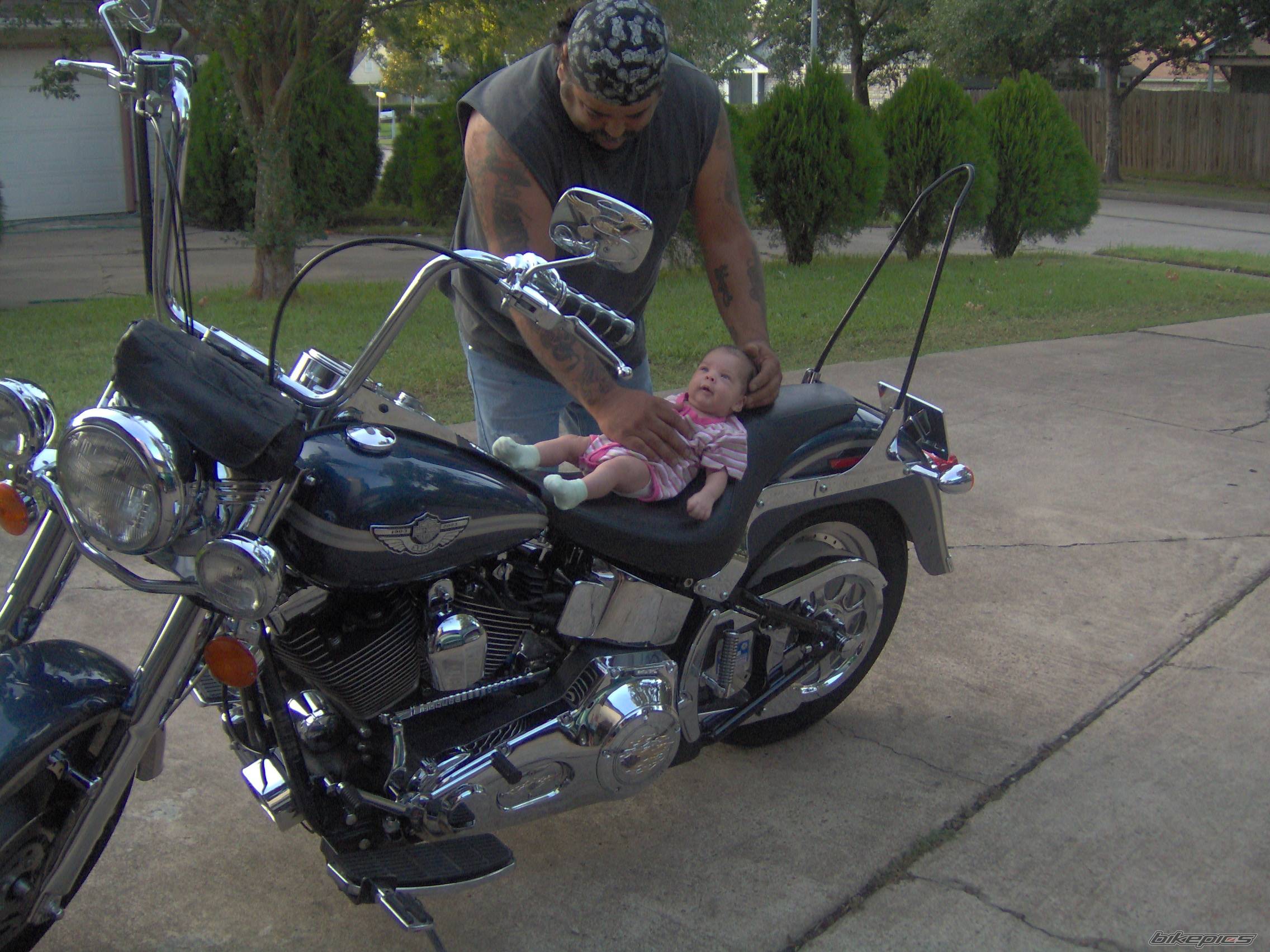 Photo 439062