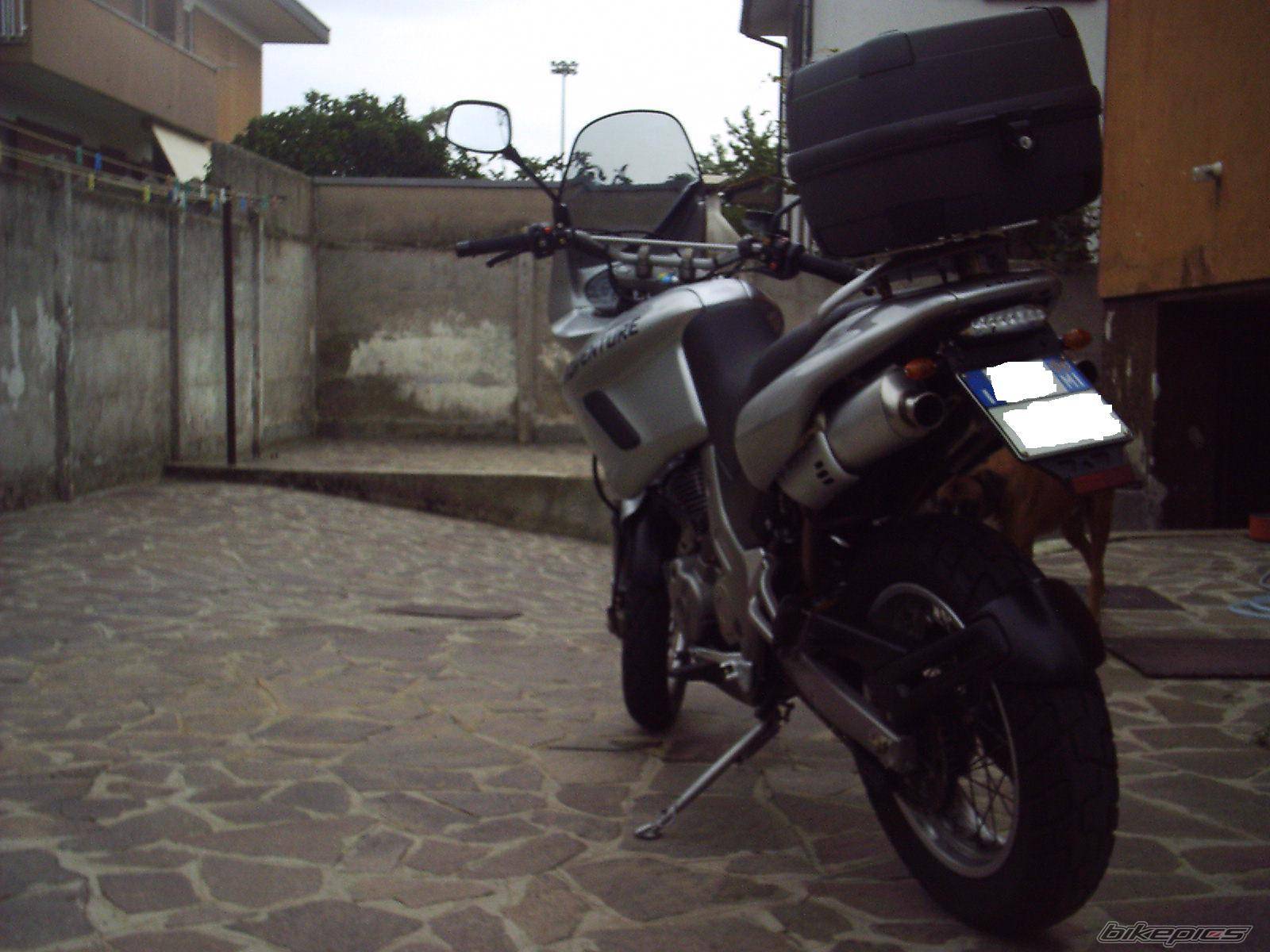 Photo 439248
