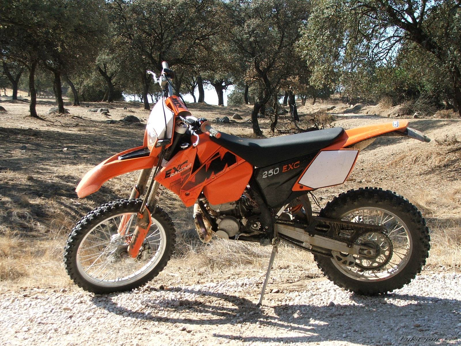 Bike Photo 439258