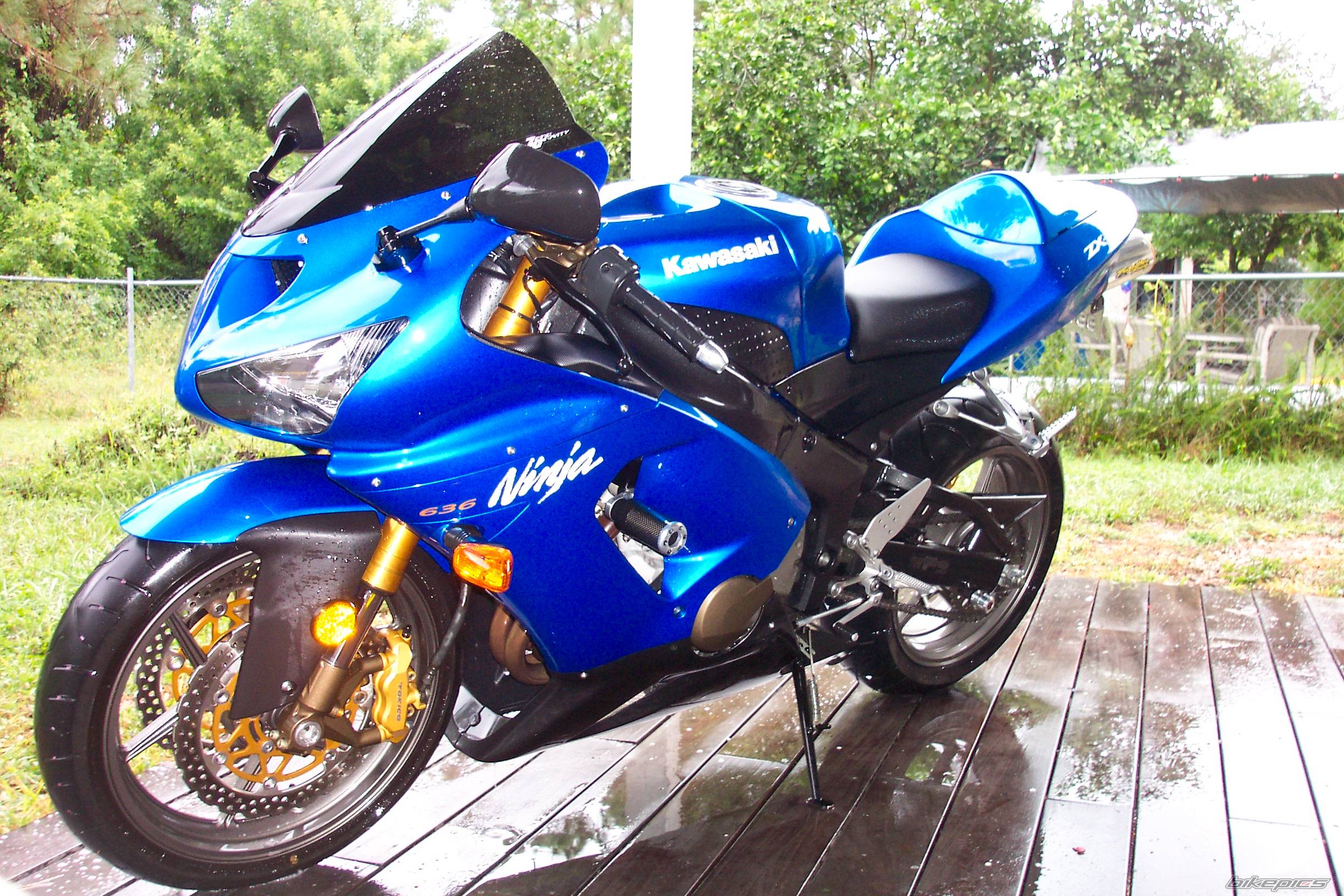 Photo 439312