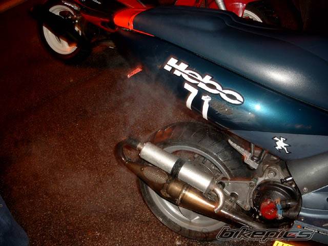 Photo 43938