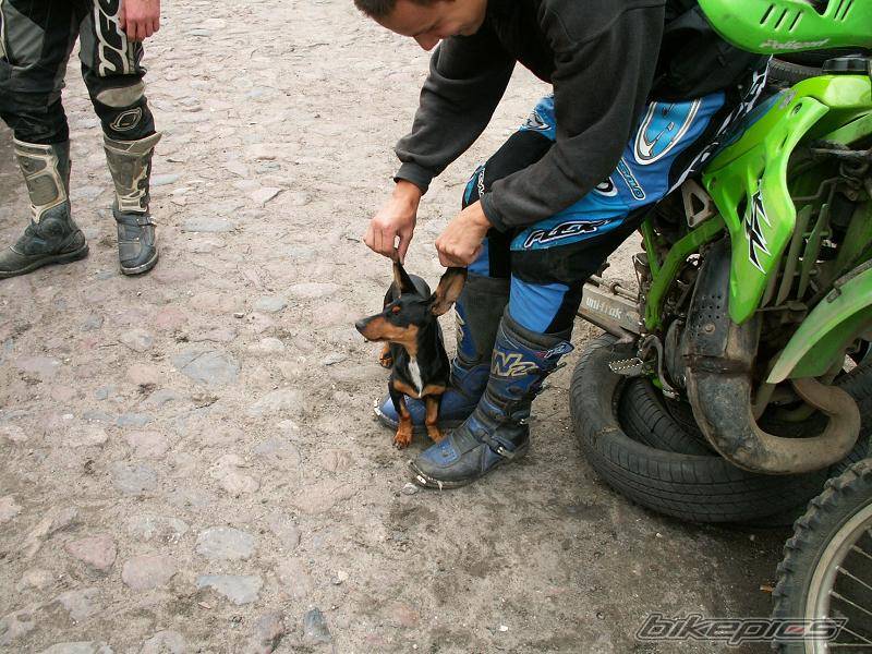 Photo 439424
