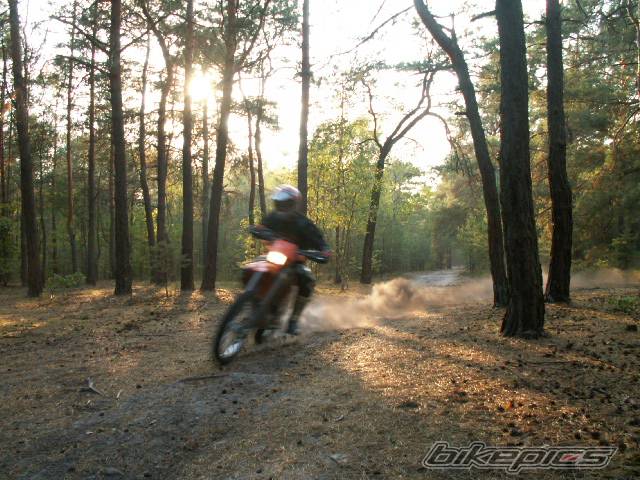 Bike Photo 439437