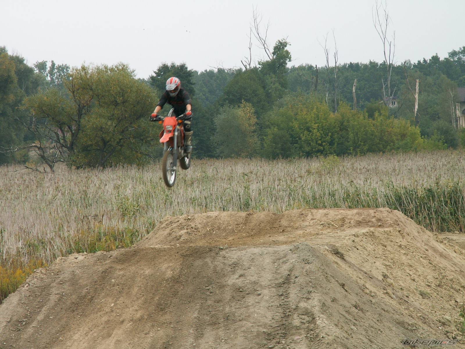 Photo 439444