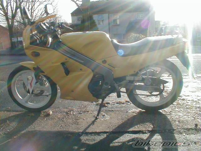 Photo 43949