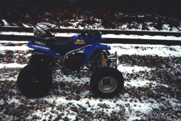 Photo 43954