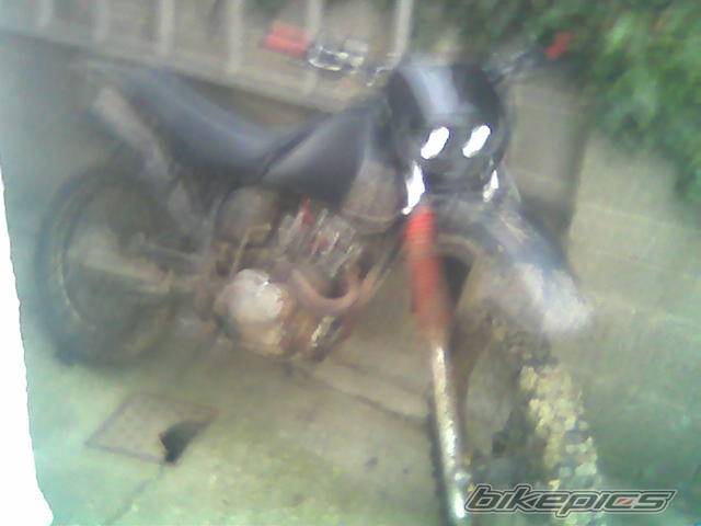 Bike Photo 439545