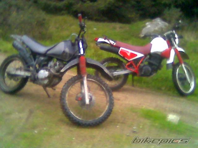 Bike Photo 439547