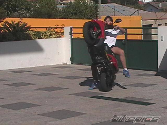 Photo 439651