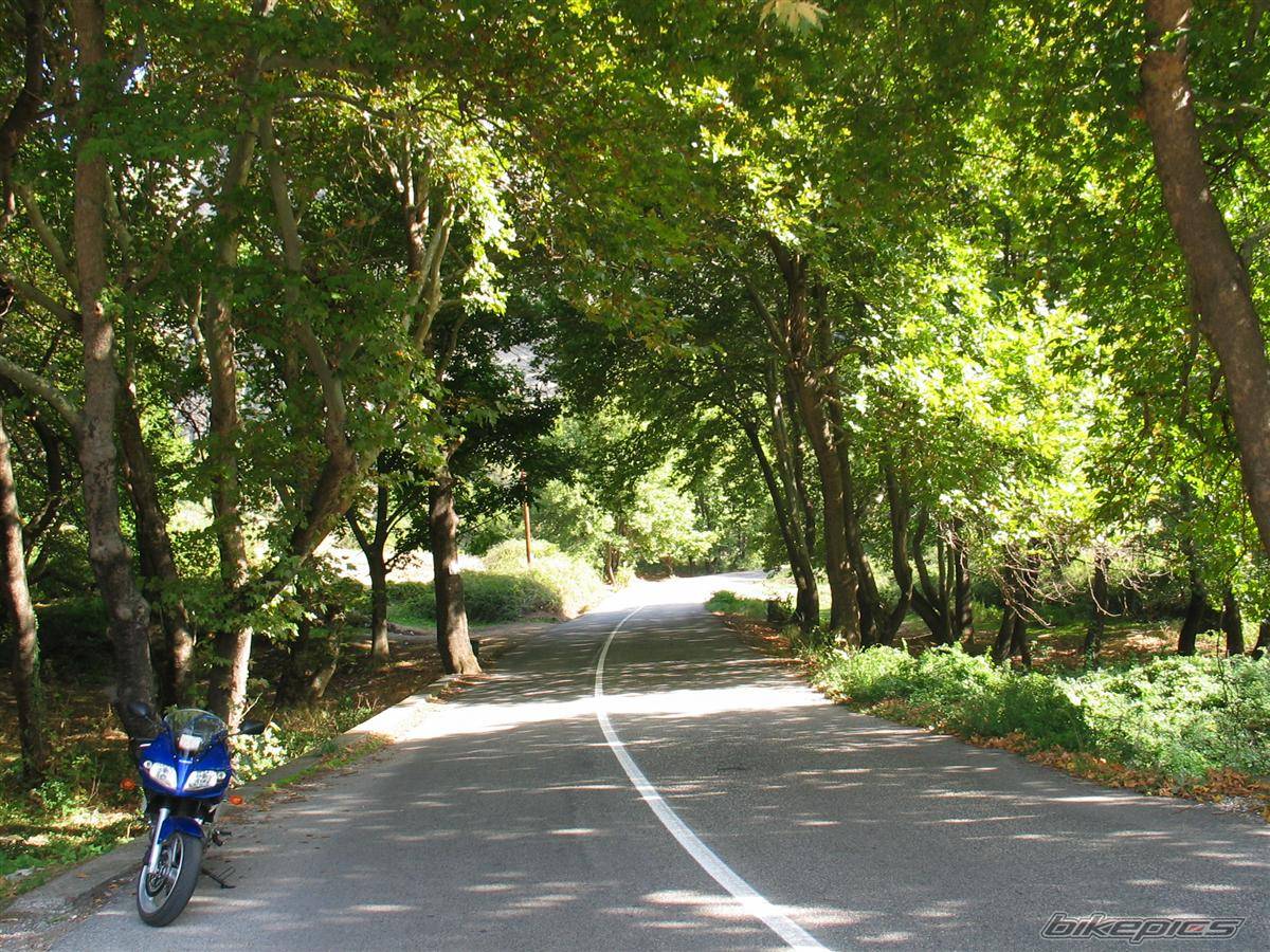 Bike Photo 439652