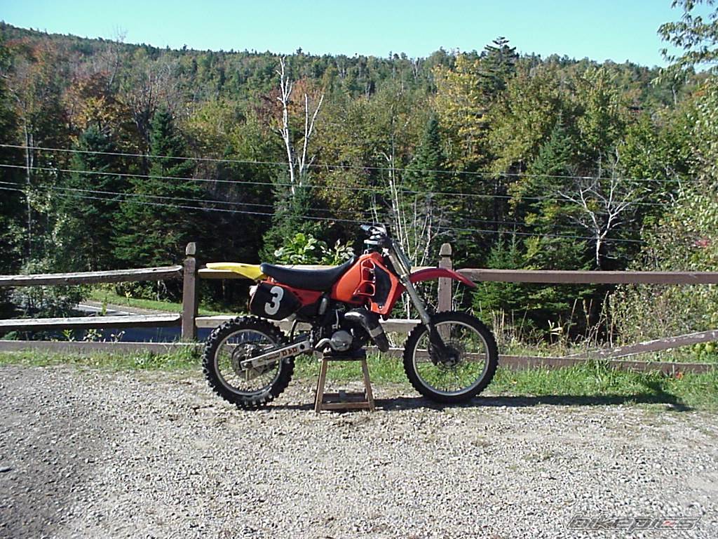 Photo 439679