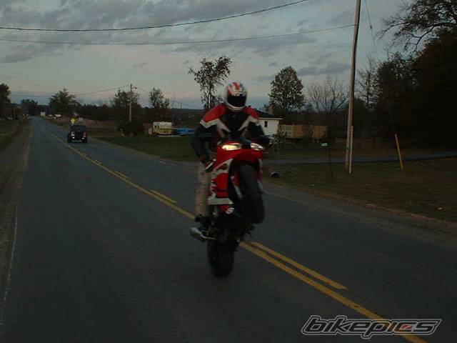 Photo 43971