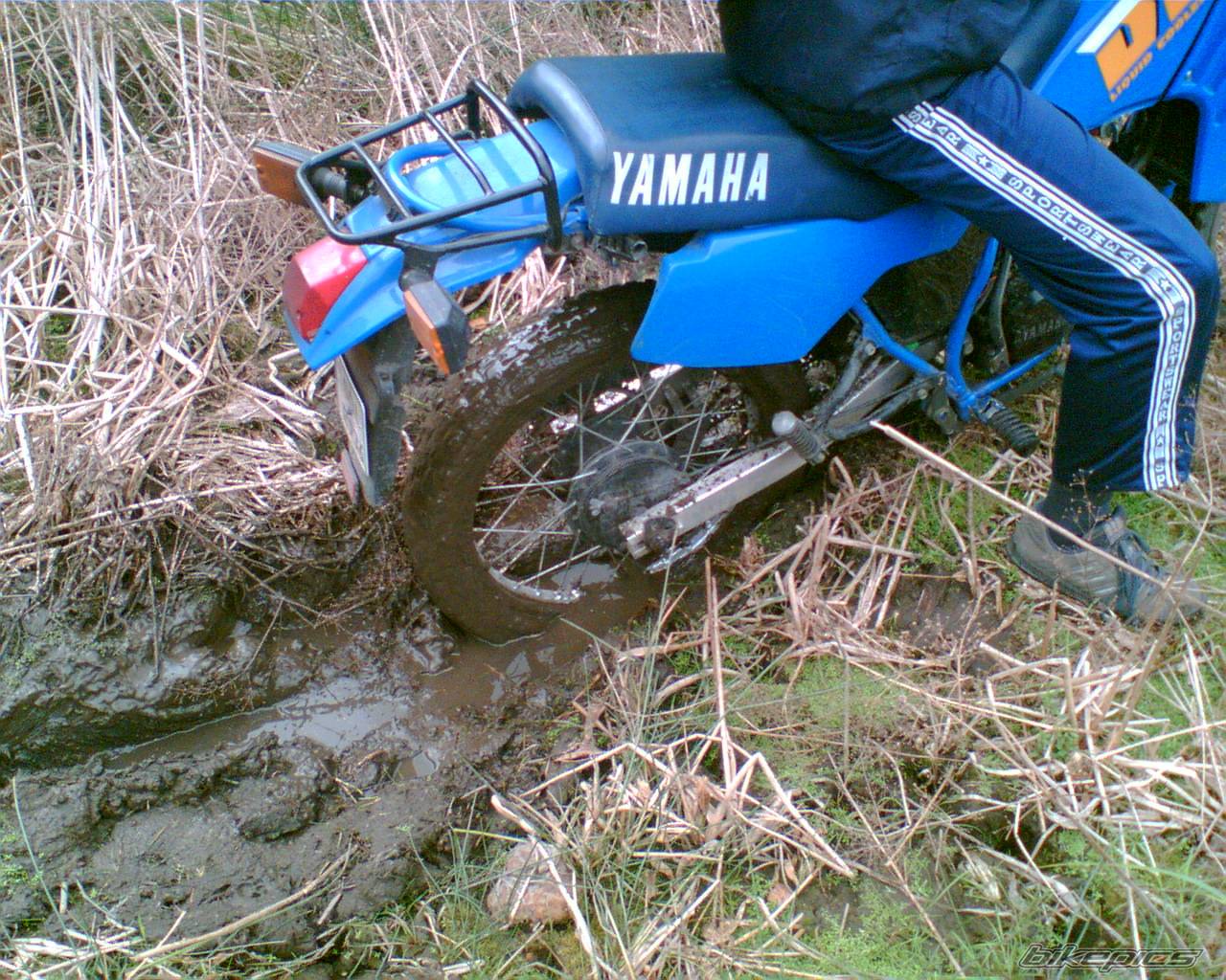 Bike Photo 439761