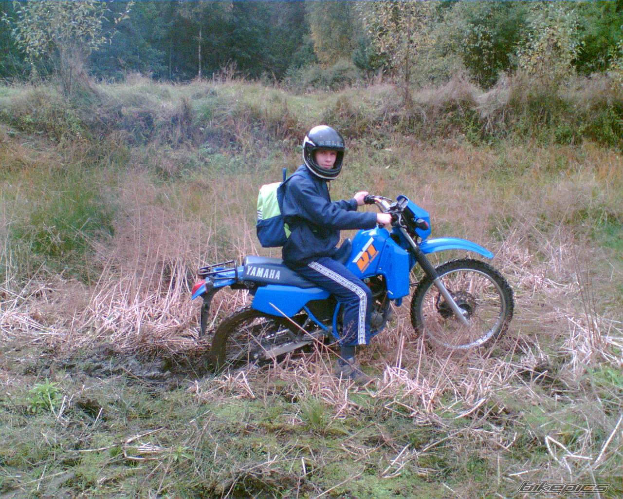 Bike Photo 439769