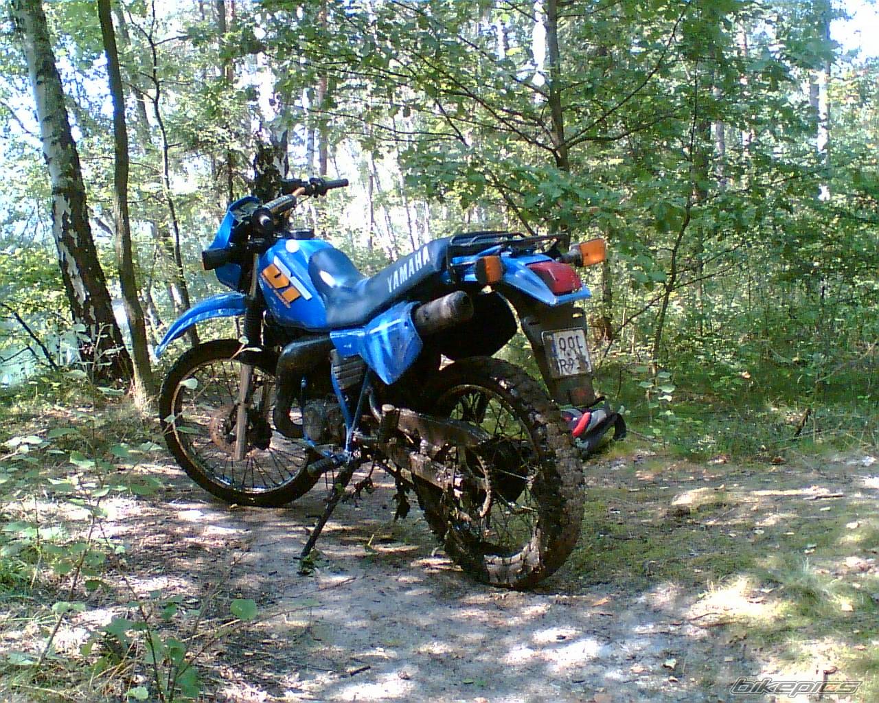 Bike Photo 439772