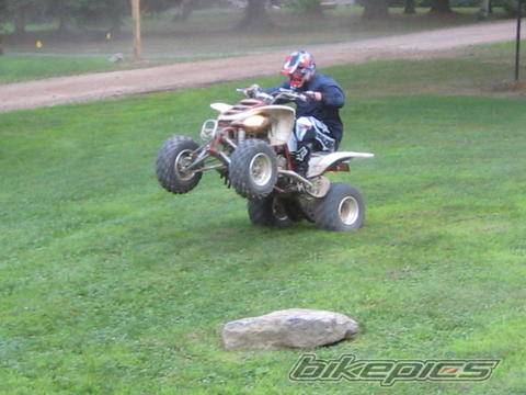 Photo 439790