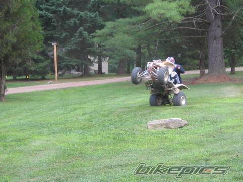 Photo 439813