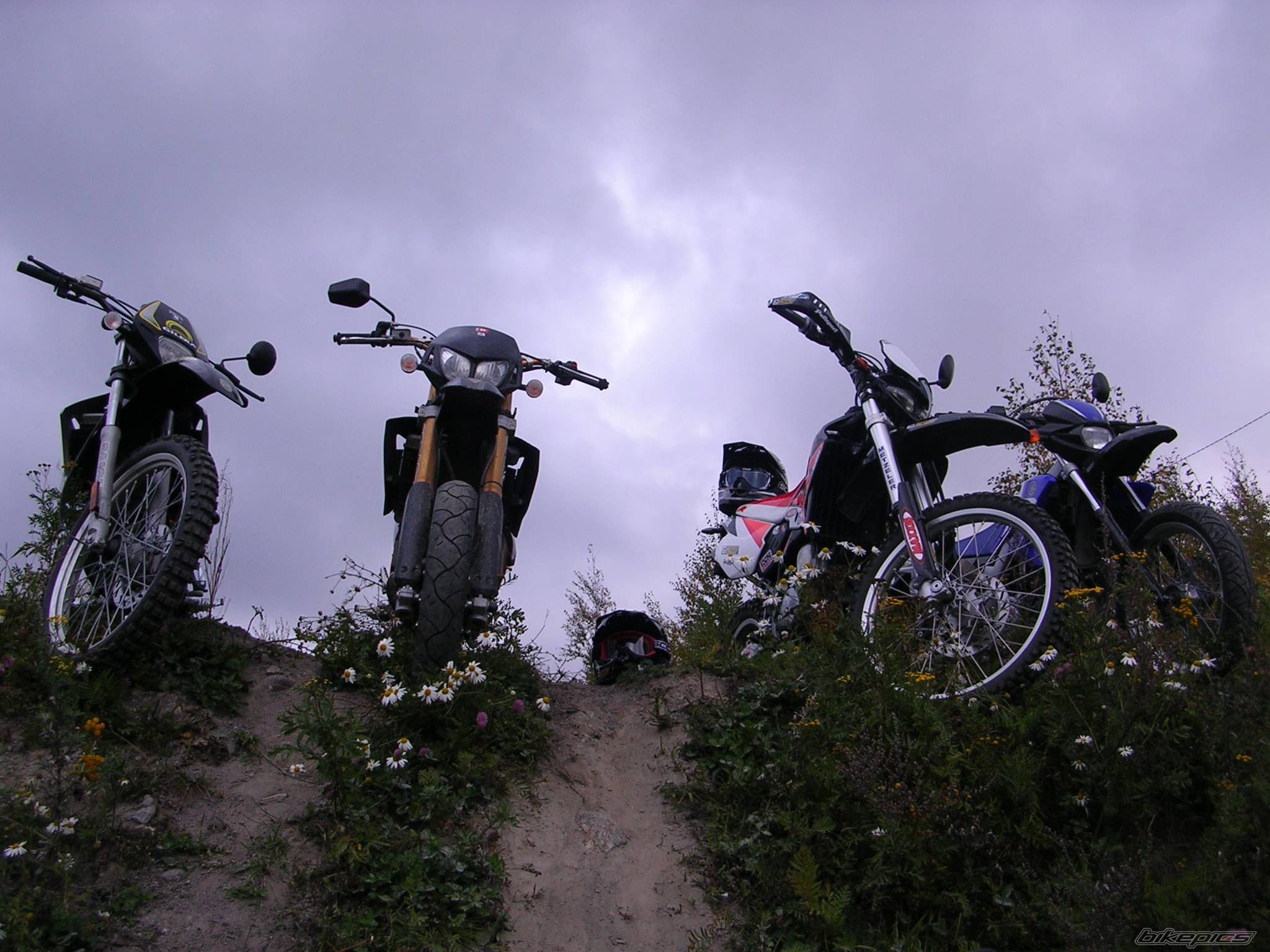 Bike Photo 439864