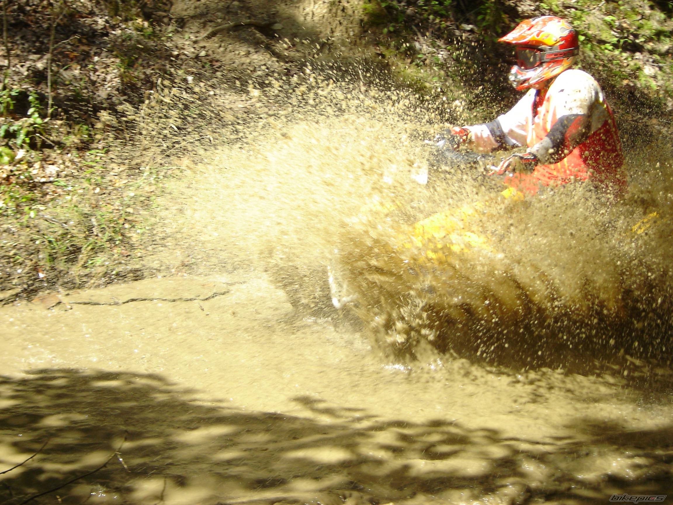 Photo 439901