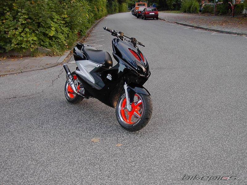 Photo 439939