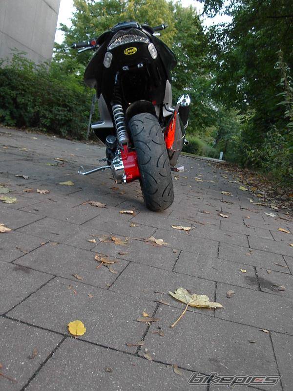 Photo 439945