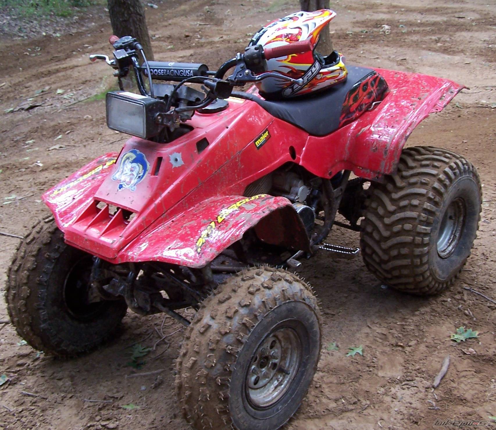 Bike Photo 439982