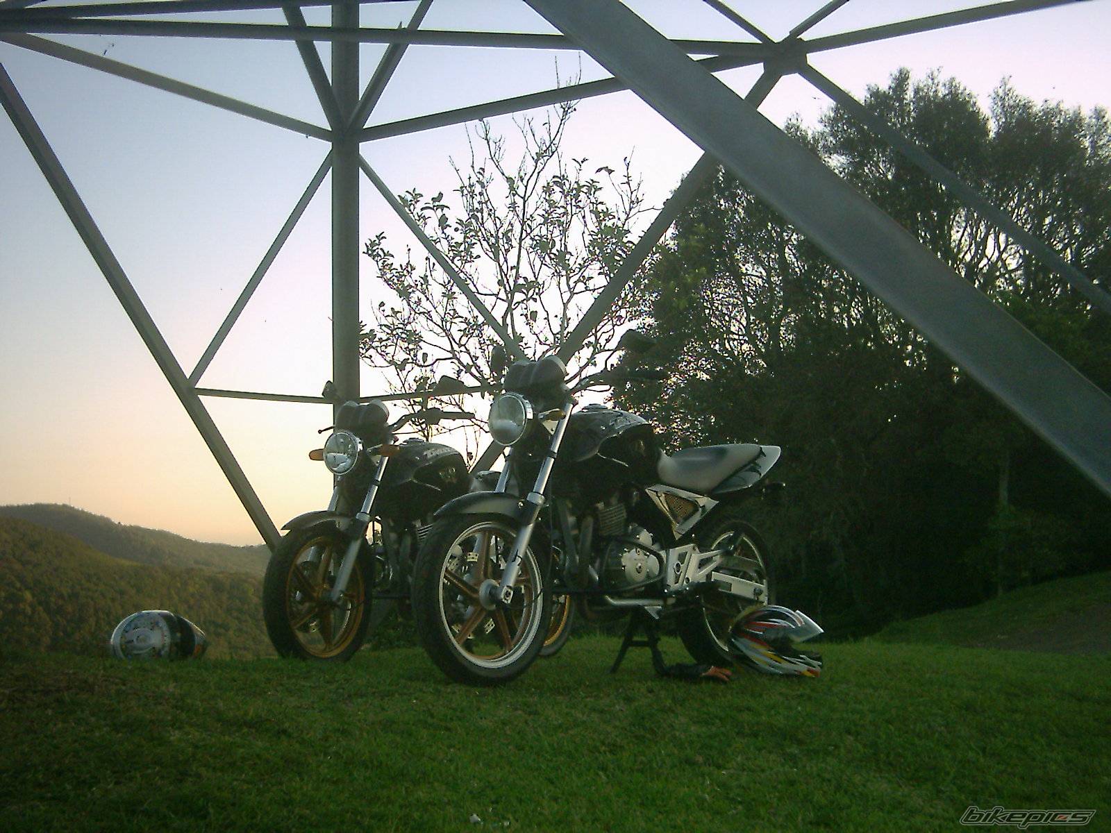 Photo 440086