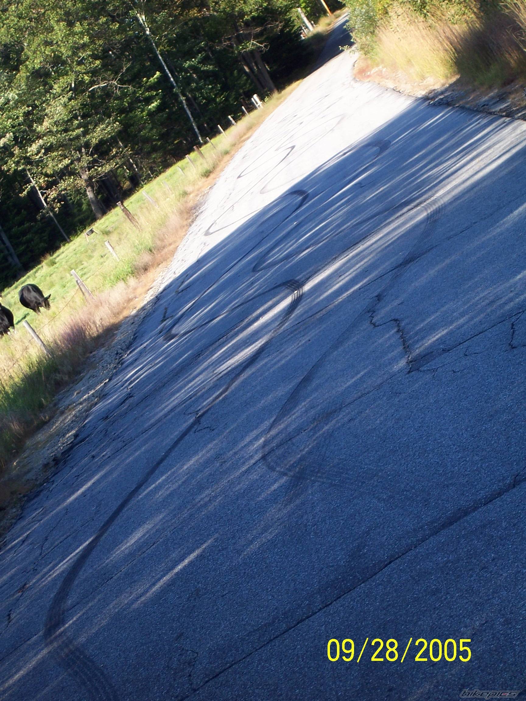 Photo 440098