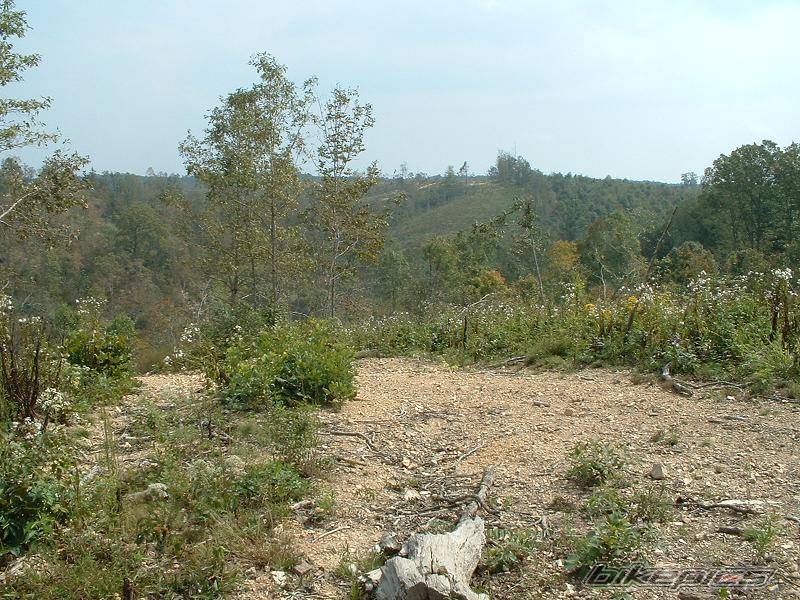 Photo 440152
