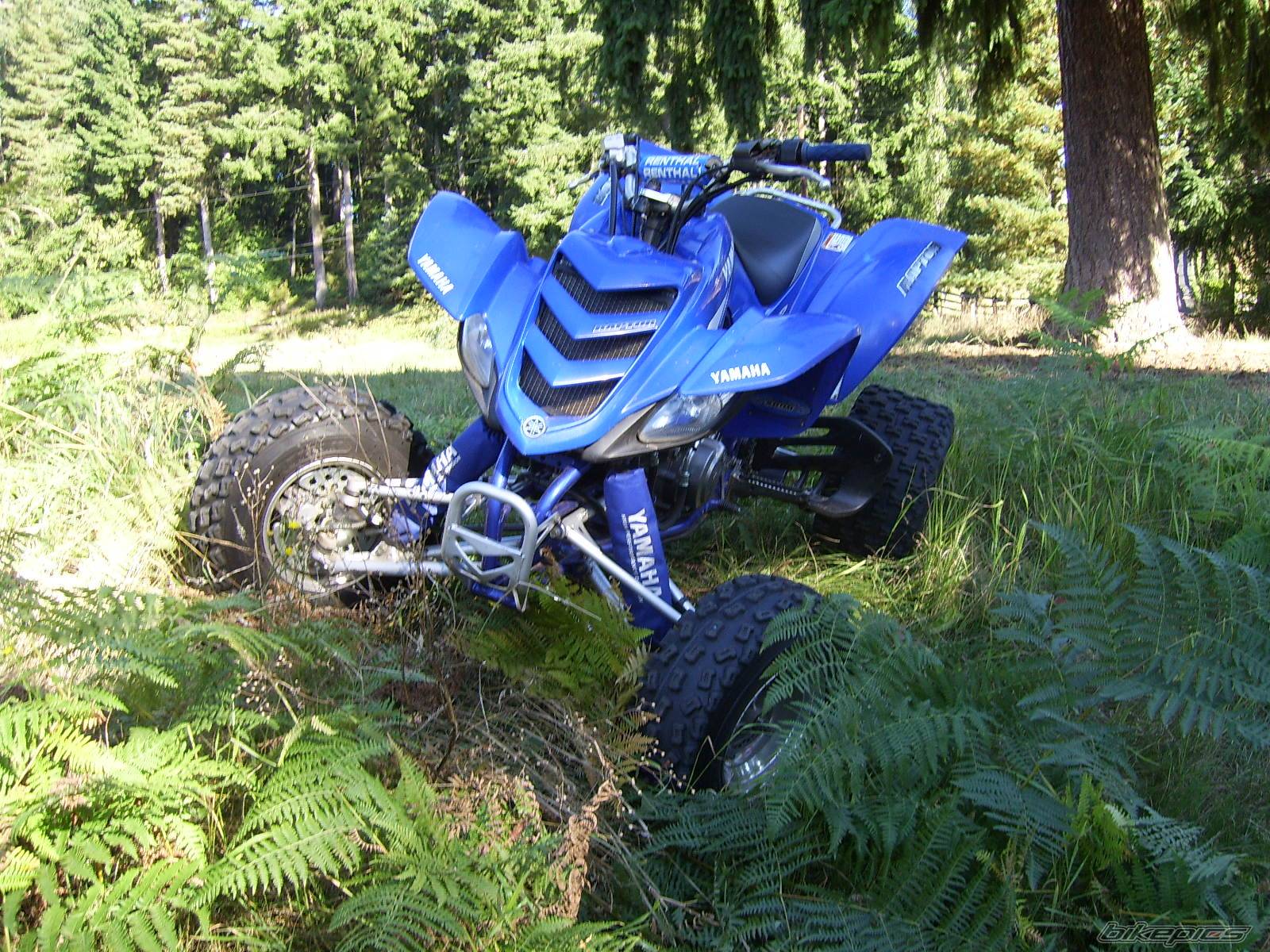 Photo 440210
