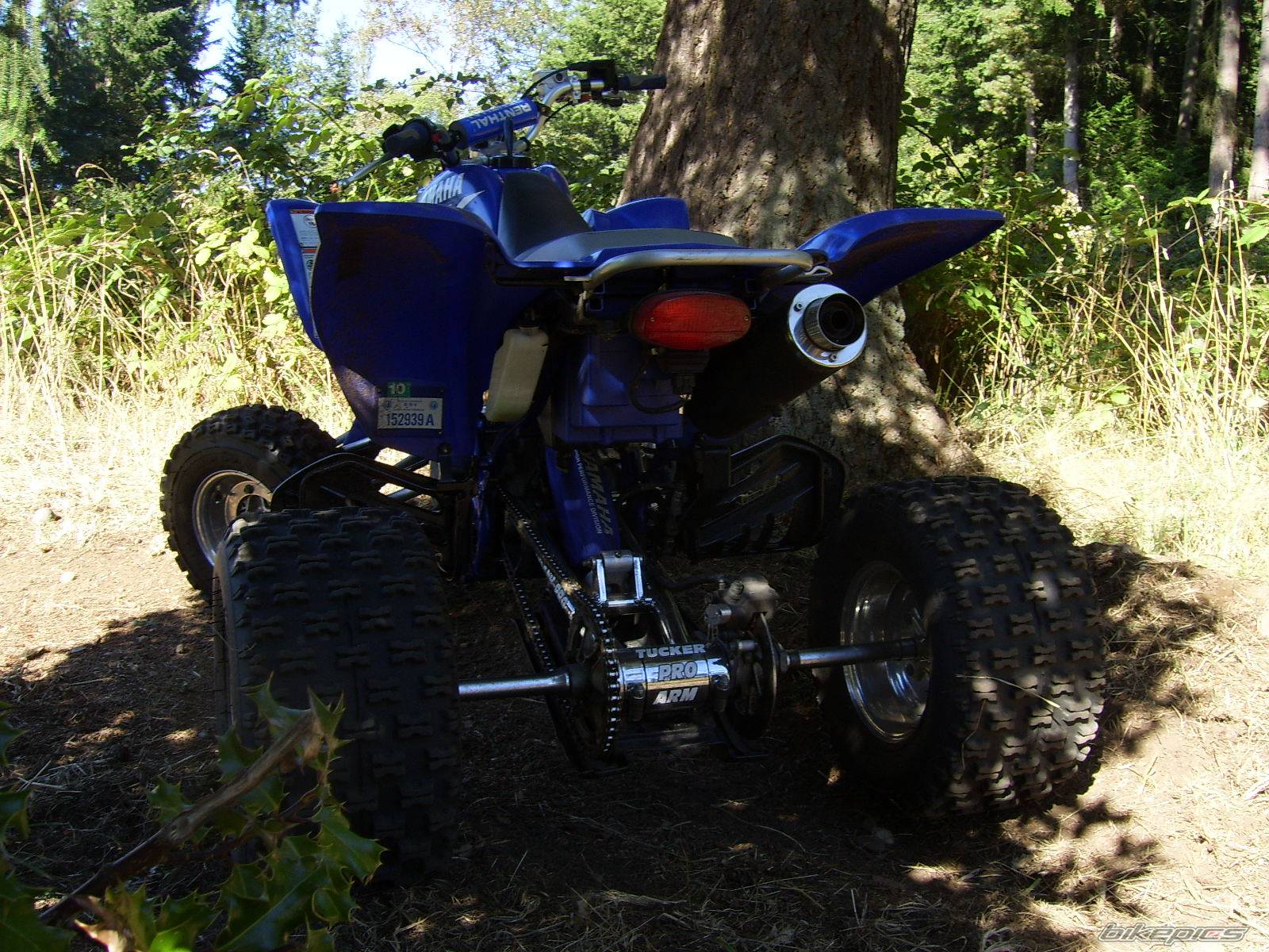 Photo 440211