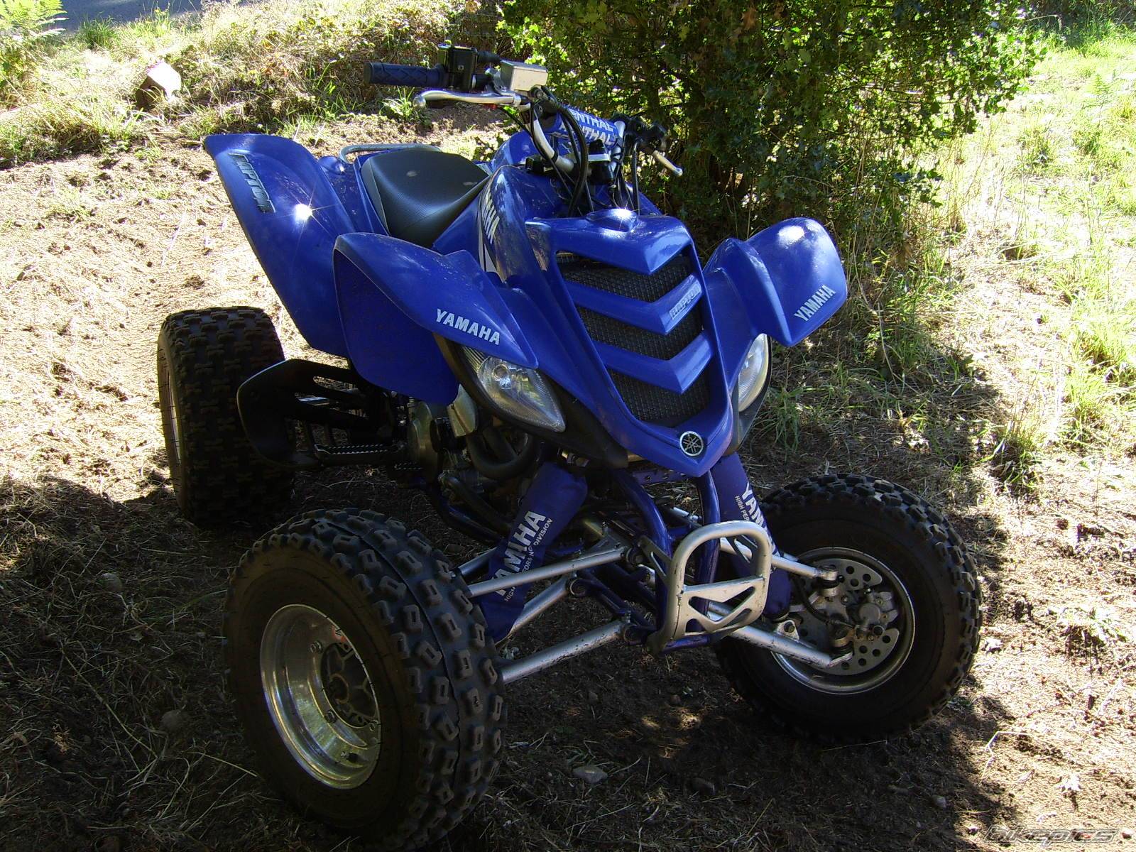 Photo 440213