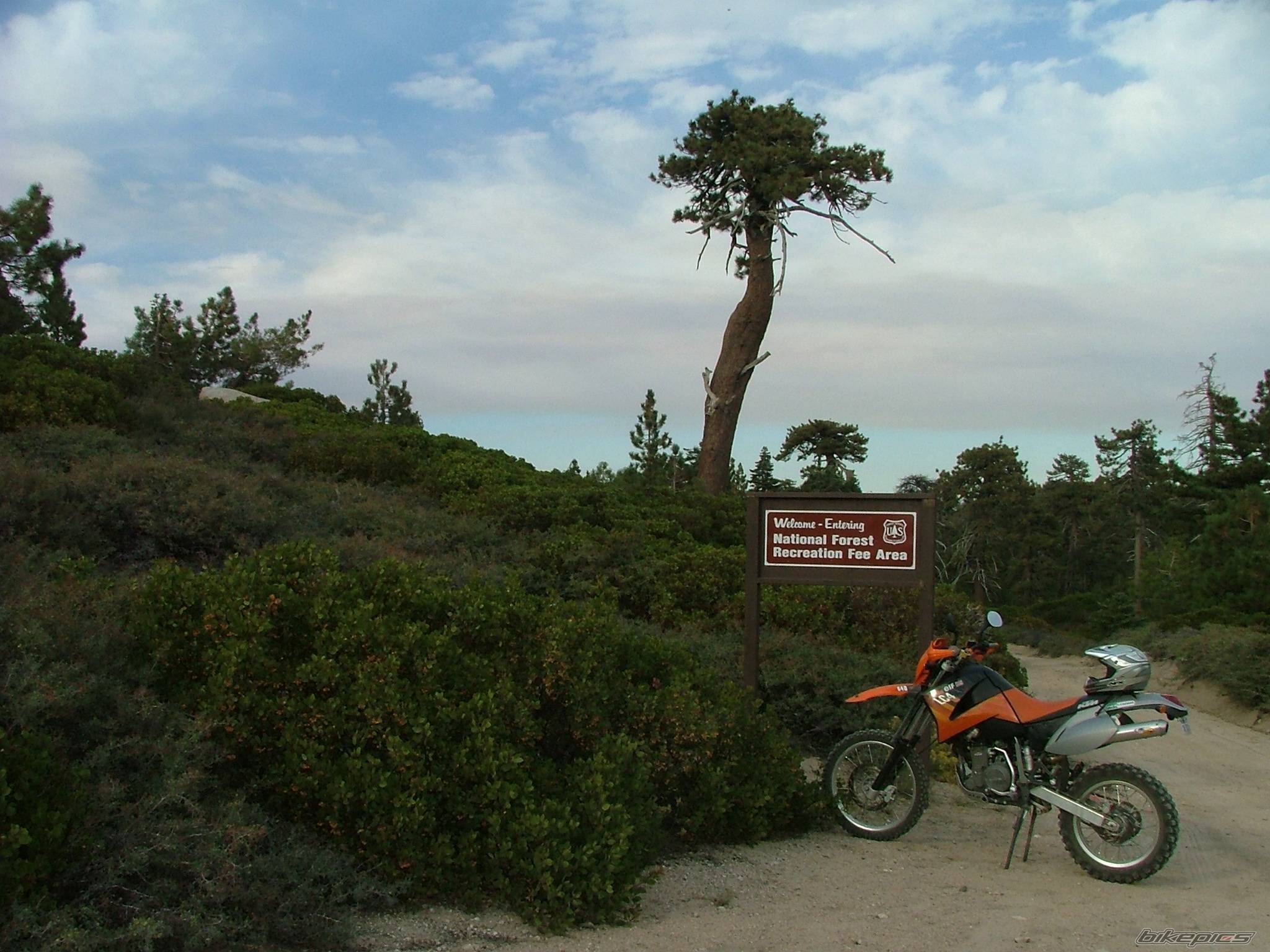 Photo 440224