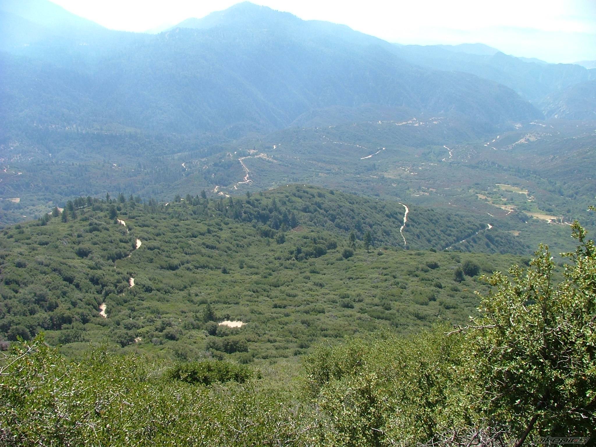 Photo 440230