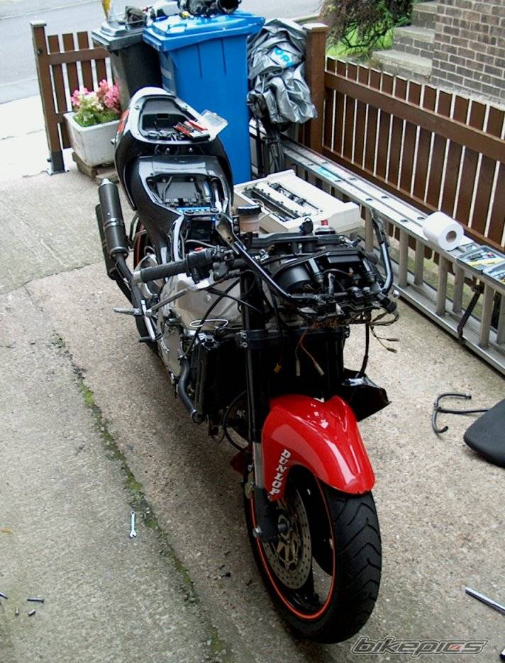 Photo 440694