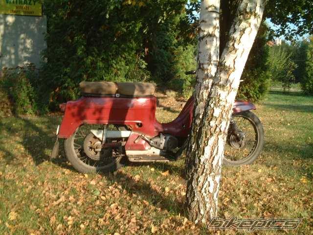 Photo 440948