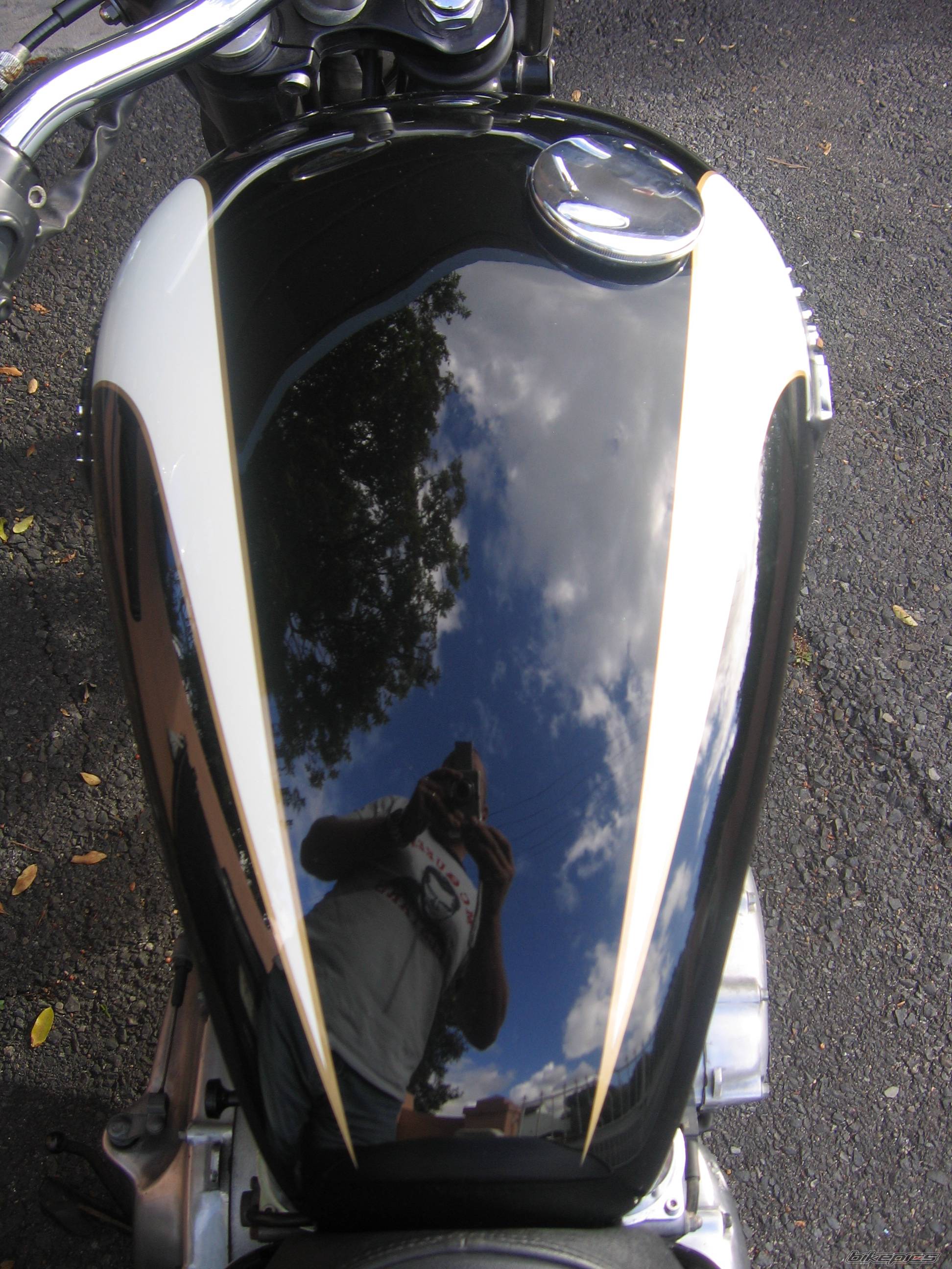 Photo 440991