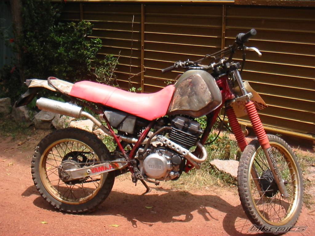 Bike Photo 441041