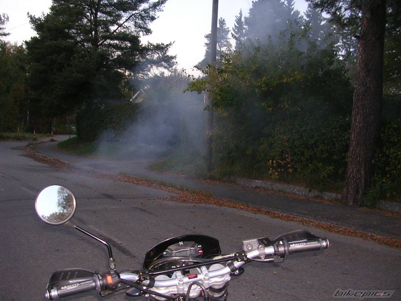 Photo 441054