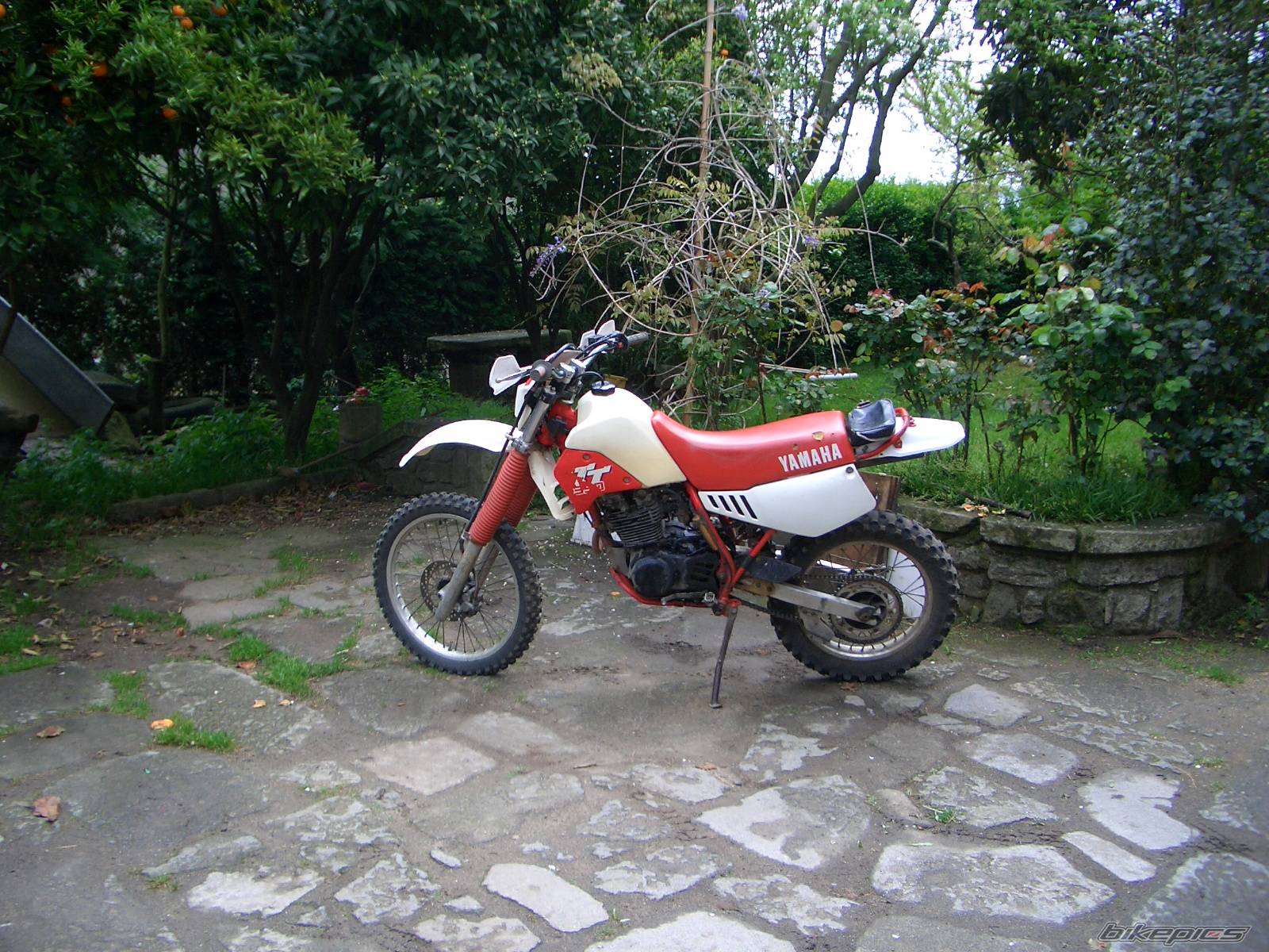 Photo 441099