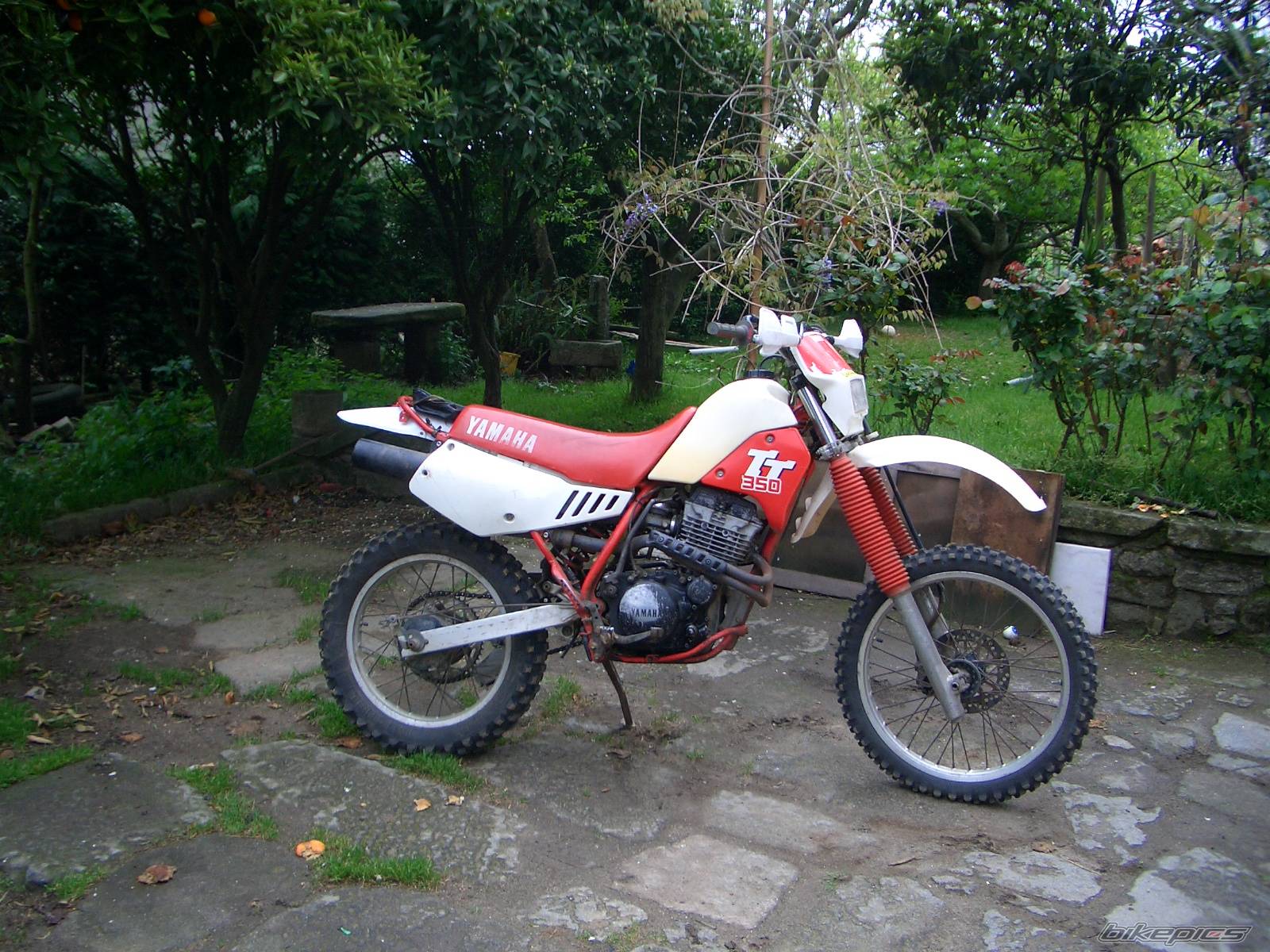 Photo 441106