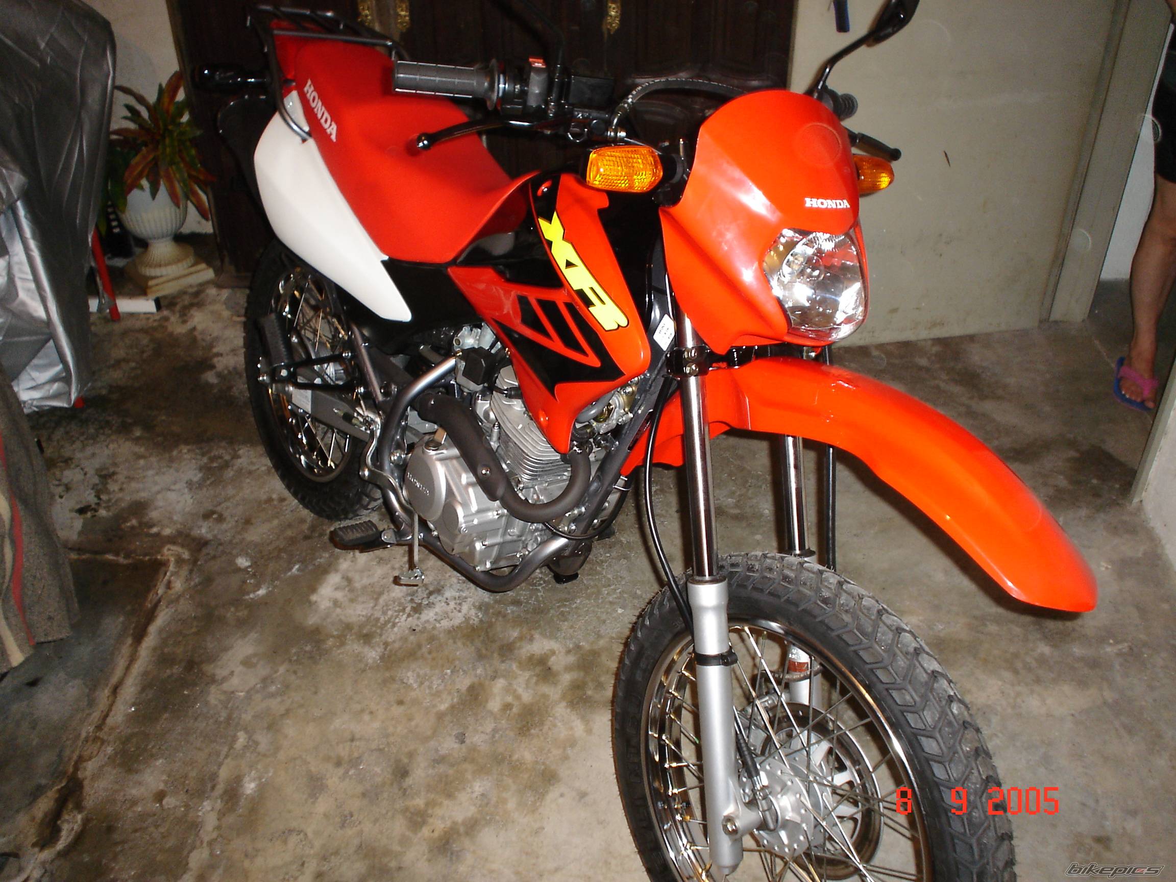 Photo 441107