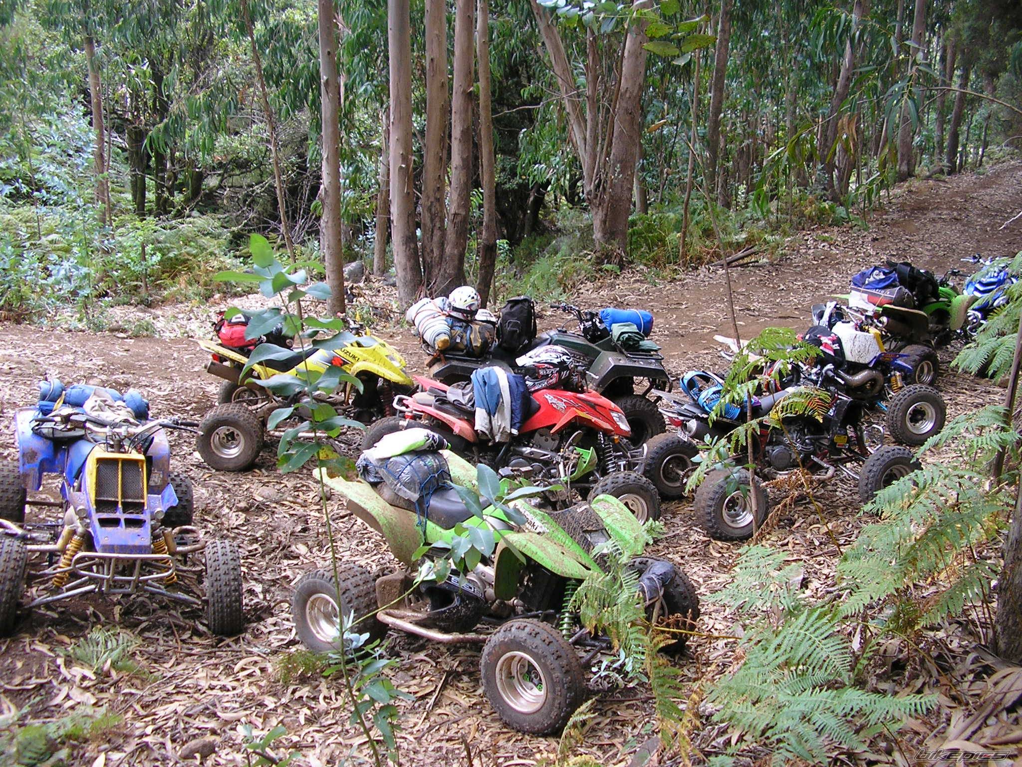Bike Photo 441275
